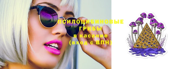 винт Белокуриха