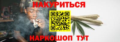Альфа ПВП Гатчина