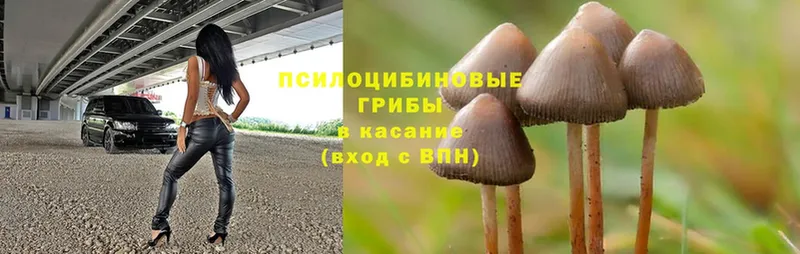 Псилоцибиновые грибы MAGIC MUSHROOMS  маркетплейс формула  Бутурлиновка 