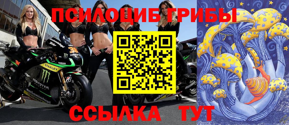 Галлюциногенные грибы Cubensis  хочу наркоту  Бутурлиновка  Галлюциногенные грибы прущие грибы 